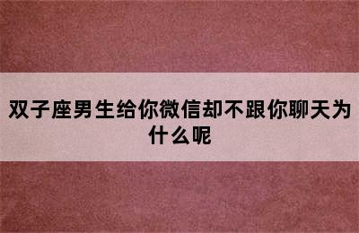 双子座男生给你微信却不跟你聊天为什么呢