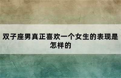 双子座男真正喜欢一个女生的表现是怎样的