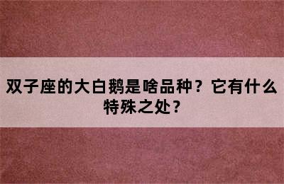 双子座的大白鹅是啥品种？它有什么特殊之处？
