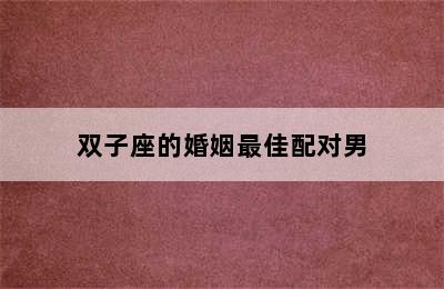 双子座的婚姻最佳配对男