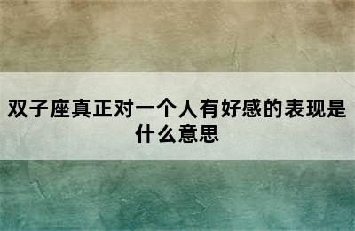 双子座真正对一个人有好感的表现是什么意思