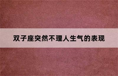 双子座突然不理人生气的表现