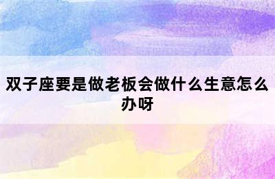 双子座要是做老板会做什么生意怎么办呀