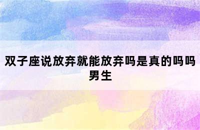 双子座说放弃就能放弃吗是真的吗吗男生