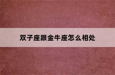 双子座跟金牛座怎么相处