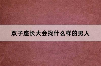 双子座长大会找什么样的男人