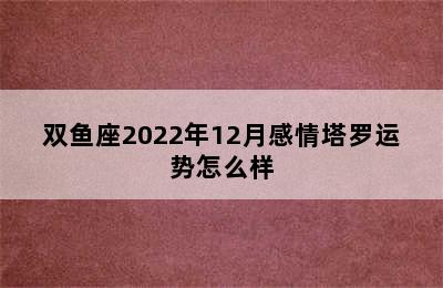 双鱼座2022年12月感情塔罗运势怎么样