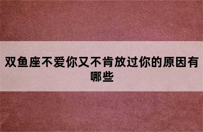 双鱼座不爱你又不肯放过你的原因有哪些