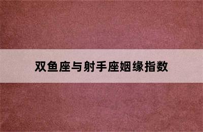 双鱼座与射手座姻缘指数