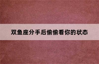 双鱼座分手后偷偷看你的状态