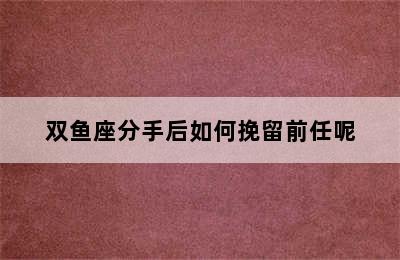 双鱼座分手后如何挽留前任呢