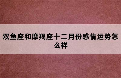 双鱼座和摩羯座十二月份感情运势怎么样