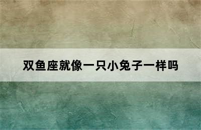 双鱼座就像一只小兔子一样吗