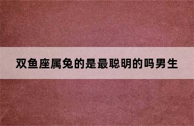 双鱼座属兔的是最聪明的吗男生