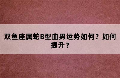 双鱼座属蛇B型血男运势如何？如何提升？