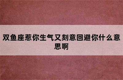 双鱼座惹你生气又刻意回避你什么意思啊