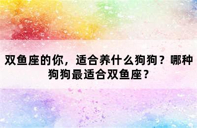双鱼座的你，适合养什么狗狗？哪种狗狗最适合双鱼座？