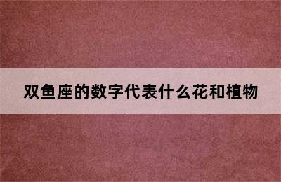 双鱼座的数字代表什么花和植物