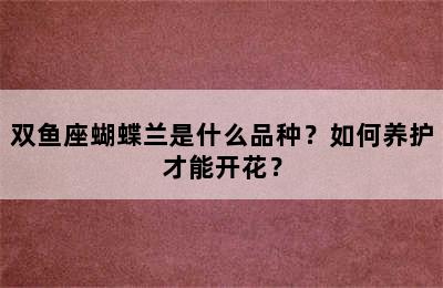 双鱼座蝴蝶兰是什么品种？如何养护才能开花？