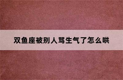 双鱼座被别人骂生气了怎么哄