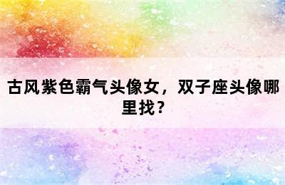 古风紫色霸气头像女，双子座头像哪里找？