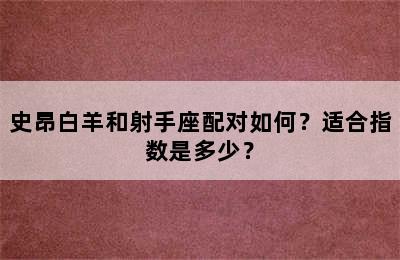 史昂白羊和射手座配对如何？适合指数是多少？
