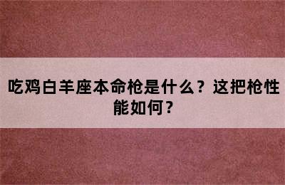 吃鸡白羊座本命枪是什么？这把枪性能如何？