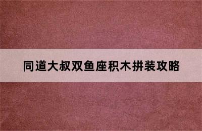 同道大叔双鱼座积木拼装攻略