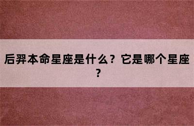 后羿本命星座是什么？它是哪个星座？