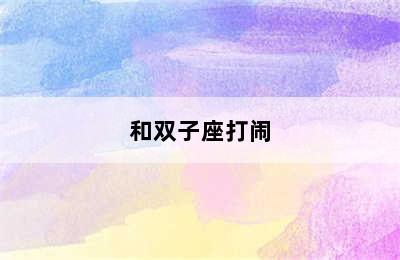 和双子座打闹