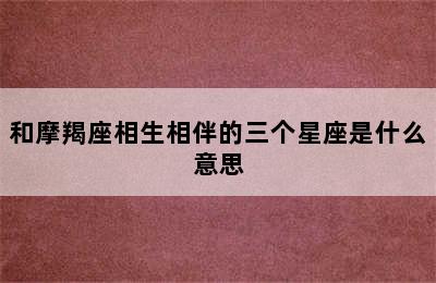 和摩羯座相生相伴的三个星座是什么意思