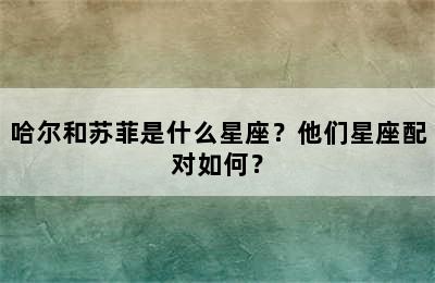 哈尔和苏菲是什么星座？他们星座配对如何？