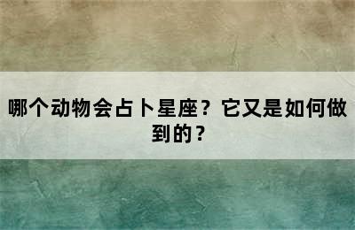 哪个动物会占卜星座？它又是如何做到的？