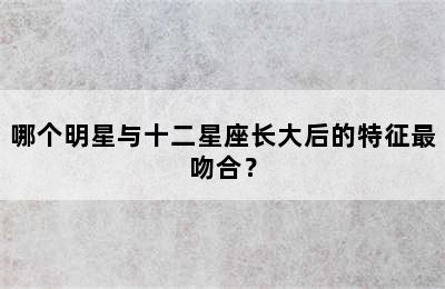 哪个明星与十二星座长大后的特征最吻合？