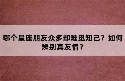 哪个星座朋友众多却难觅知己？如何辨别真友情？