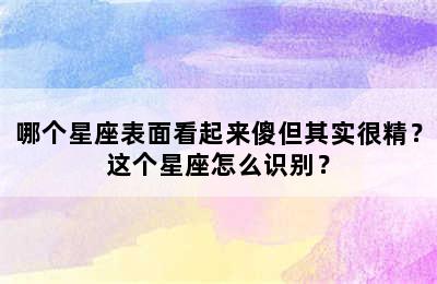 哪个星座表面看起来傻但其实很精？这个星座怎么识别？