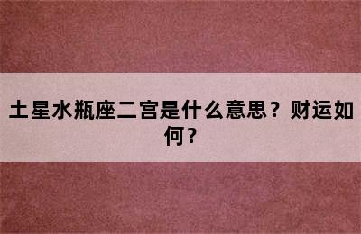 土星水瓶座二宫是什么意思？财运如何？