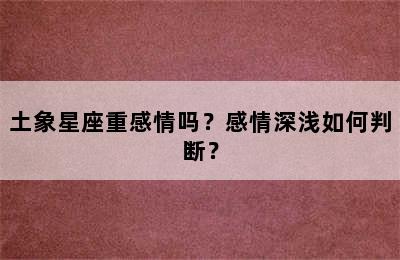 土象星座重感情吗？感情深浅如何判断？