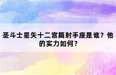 圣斗士星矢十二宫篇射手座是谁？他的实力如何？