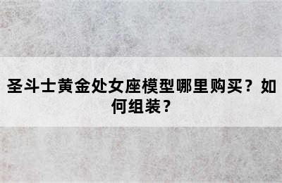 圣斗士黄金处女座模型哪里购买？如何组装？
