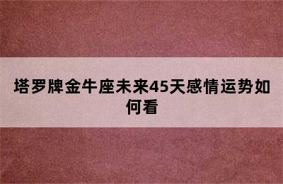 塔罗牌金牛座未来45天感情运势如何看