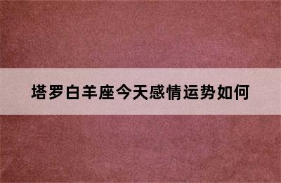 塔罗白羊座今天感情运势如何