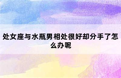 处女座与水瓶男相处很好却分手了怎么办呢