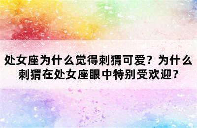 处女座为什么觉得刺猬可爱？为什么刺猬在处女座眼中特别受欢迎？