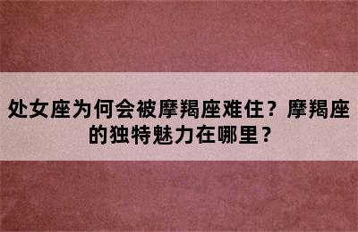 处女座为何会被摩羯座难住？摩羯座的独特魅力在哪里？