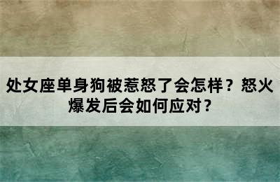 处女座单身狗被惹怒了会怎样？怒火爆发后会如何应对？