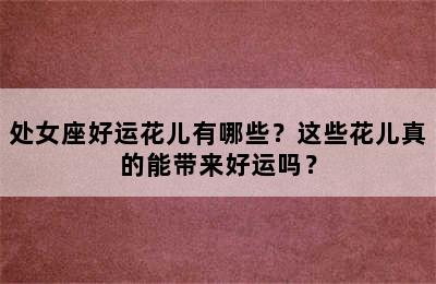 处女座好运花儿有哪些？这些花儿真的能带来好运吗？