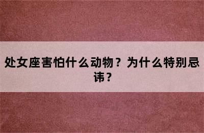 处女座害怕什么动物？为什么特别忌讳？