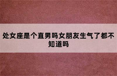 处女座是个直男吗女朋友生气了都不知道吗