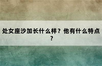 处女座沙加长什么样？他有什么特点？